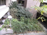 DSCN6745.JPG