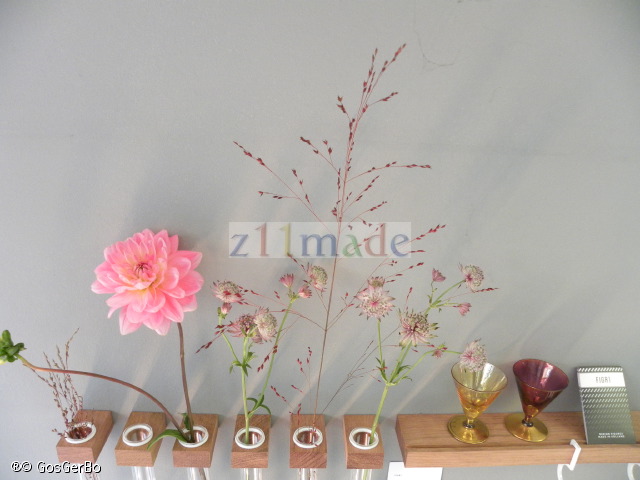 dscn6238.jpg