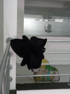 DSCN6204.JPG