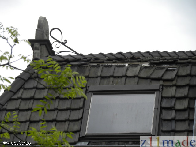 dscn2366.jpg