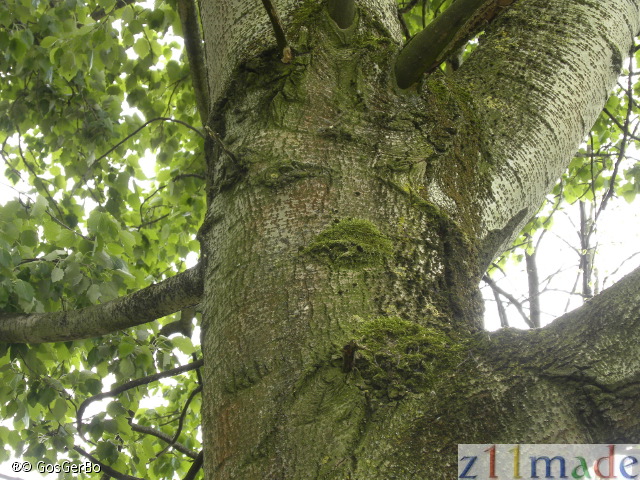 dscn2063.jpg