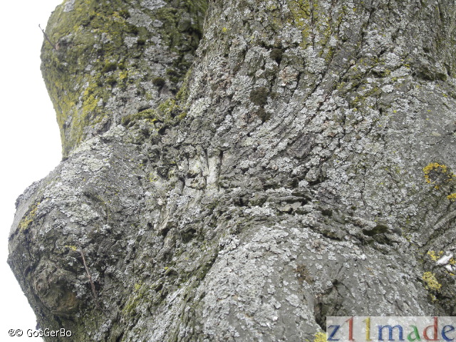 dscn2095.jpg