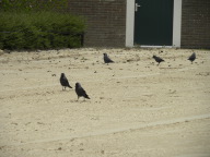 DSCN2087.JPG