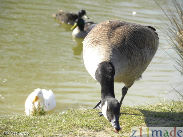 dscn0838.jpg