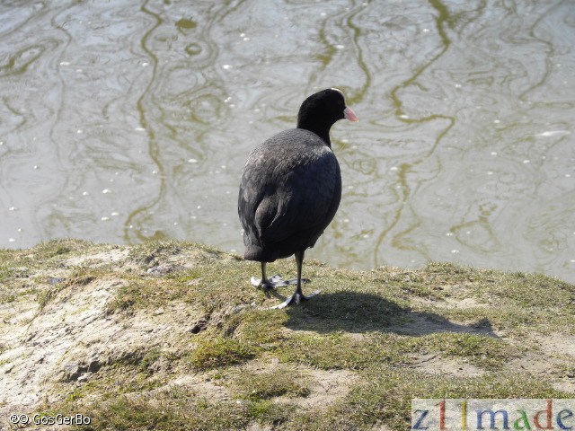 dscn0839.jpg
