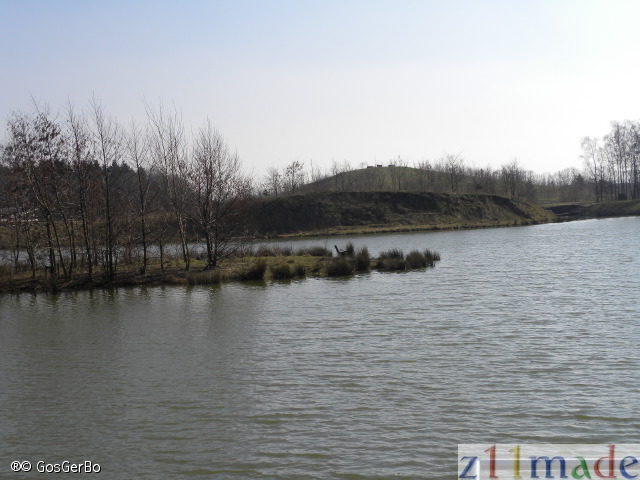 dscn0894.jpg