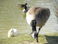 DSCN0838.JPG