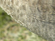 DSCN0844.JPG