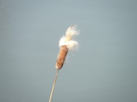 DSCN0864.JPG
