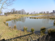 DSCN0881.JPG