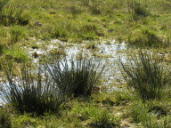 DSCN0888.JPG
