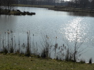 DSCN0900.JPG