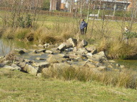 DSCN0907.JPG
