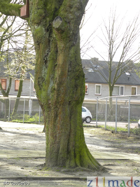 dscn1237.jpg