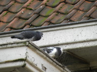 DSCN1250.JPG