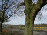 DSCN1258.JPG