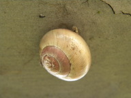 DSCN1263.JPG