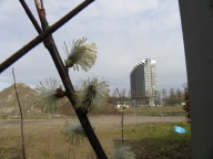 DSCN1267.JPG