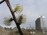 DSCN1269.JPG