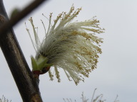 DSCN1270.JPG