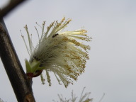 DSCN1272.JPG