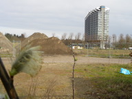 DSCN1277.JPG