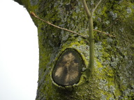 DSCN1278.JPG