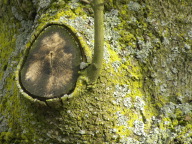 DSCN1280.JPG