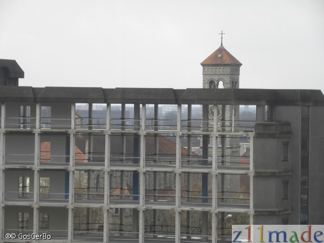 dscn8536.jpg