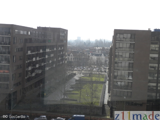 dscn8556.jpg