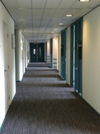 DSCN8553.JPG