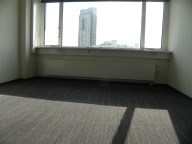 DSCN8565.JPG