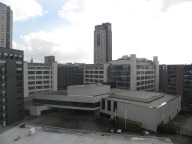 DSCN8570.JPG