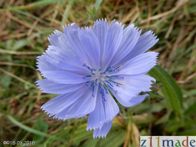 dscn6310.jpg