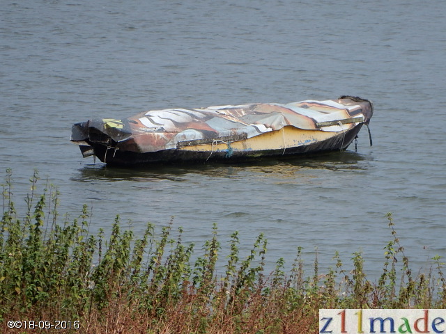 dscn6311.jpg