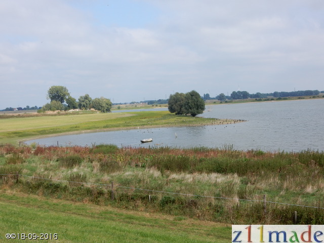 dscn6319.jpg