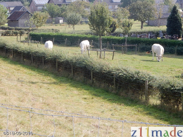 dscn6331.jpg