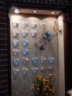 DSCN6275.JPG