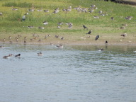 DSCN6312.JPG