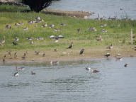 DSCN6314.JPG