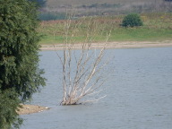 DSCN6321.JPG