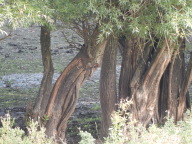 DSCN6328.JPG