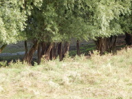 DSCN6329.JPG