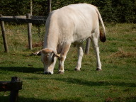 DSCN6335.JPG