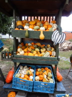 DSCN6343.JPG