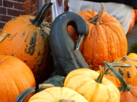 DSCN6348.JPG
