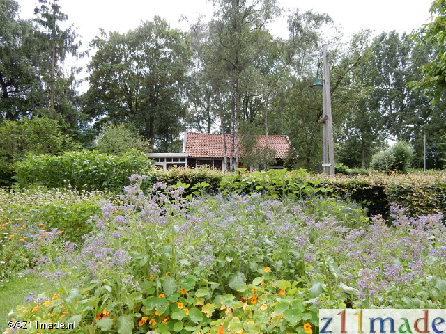 dscn4356.jpg