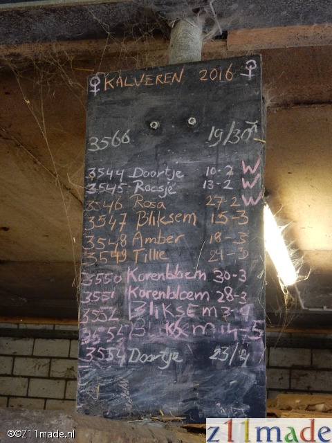 dscn4390.jpg