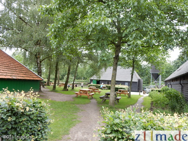 dscn4428.jpg