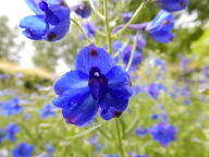 DSCN4352.JPG
